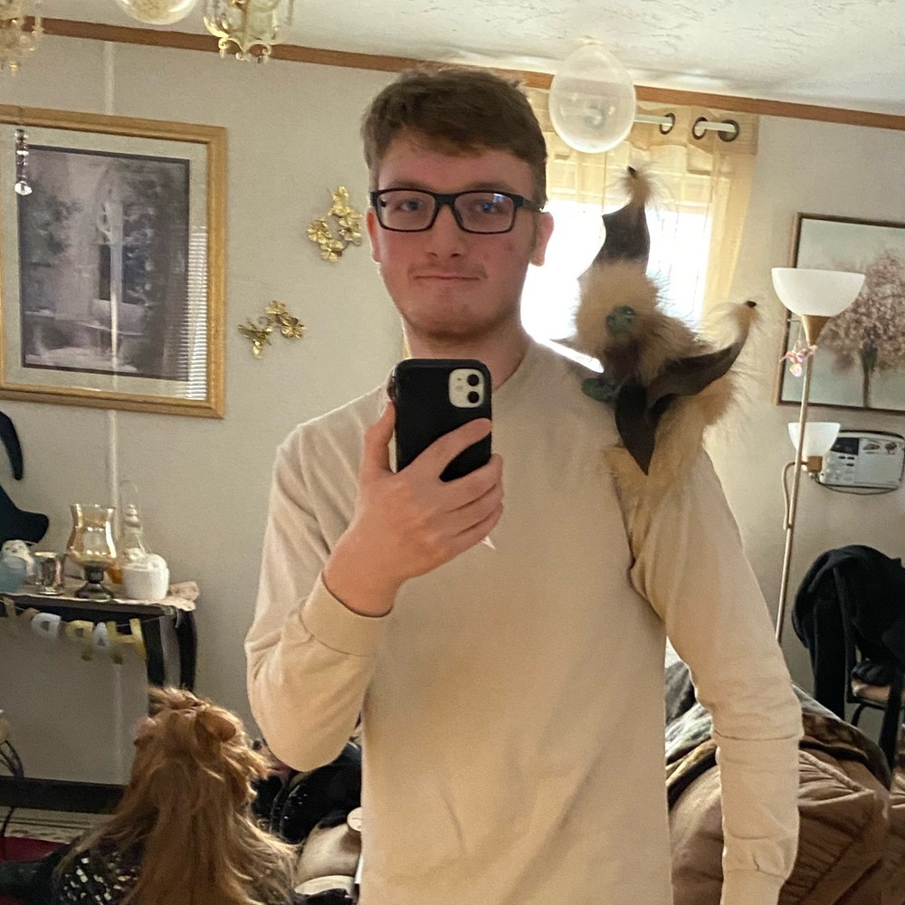 Meet your Posher, Michael
